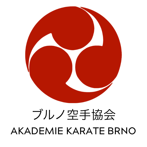 logo icon